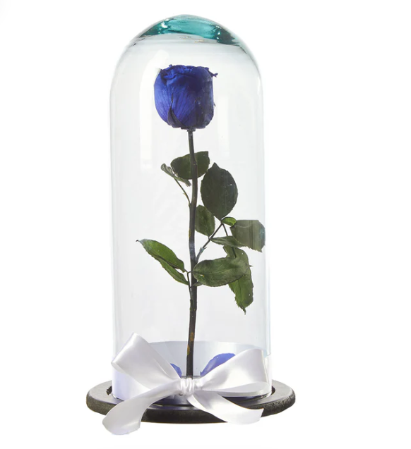 Tendencia en flores preservadas: Un regalo único que trasciende el tiempo