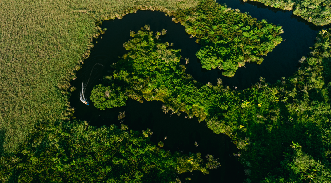 Reserva de la Biosfera Marismas Nacionales, una joya ecoturística en Nayarit